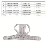 Corrector de postura XL lumbar ajustable