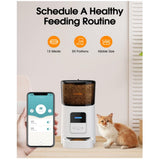 Alimentador automático para gatos de 6 litros WOPER Robot